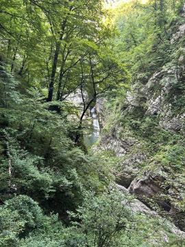 Delovni obisk ekipe VitaTiim; Vir: Občina Sežana